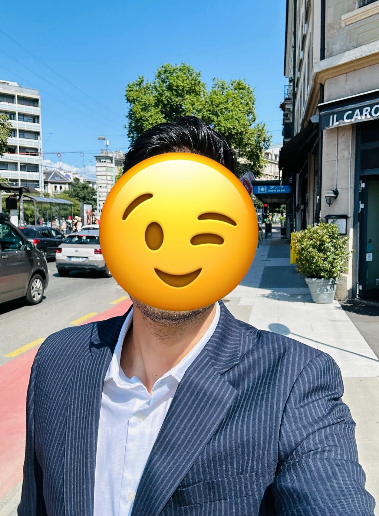 Profil de Soule